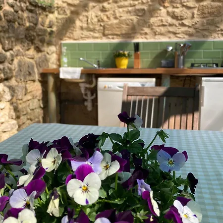 Le Chevrefeuille D'hotes Et De Charme Frühstückspension